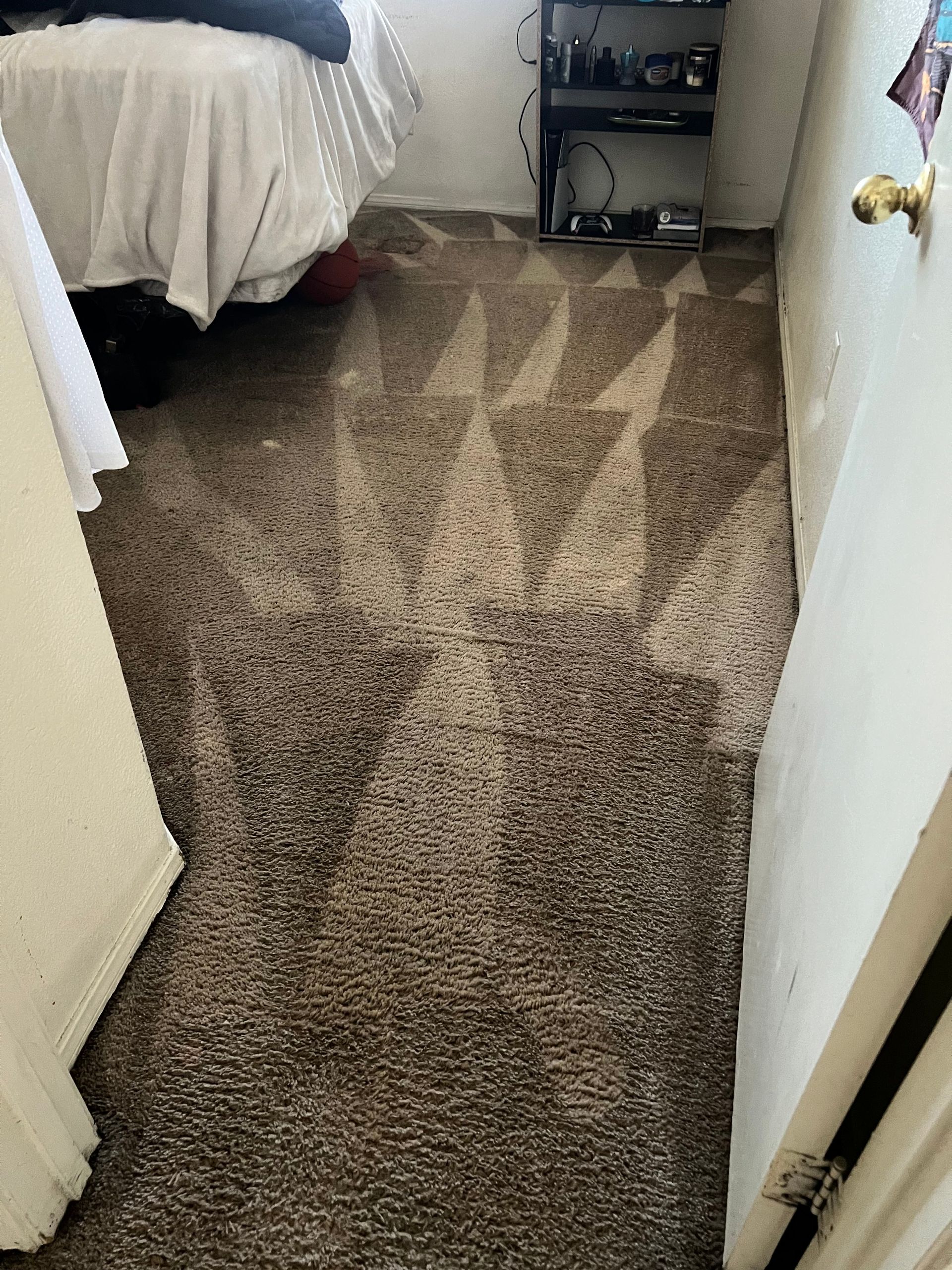 Carpet being cleaned with visible clean and dirty areas. White triangles pattern.
