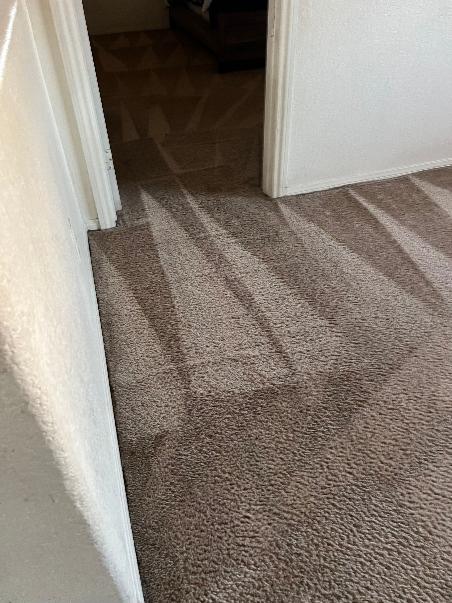 Carpeted hallway with a distinct pattern from vacuuming, leading to an open doorway.