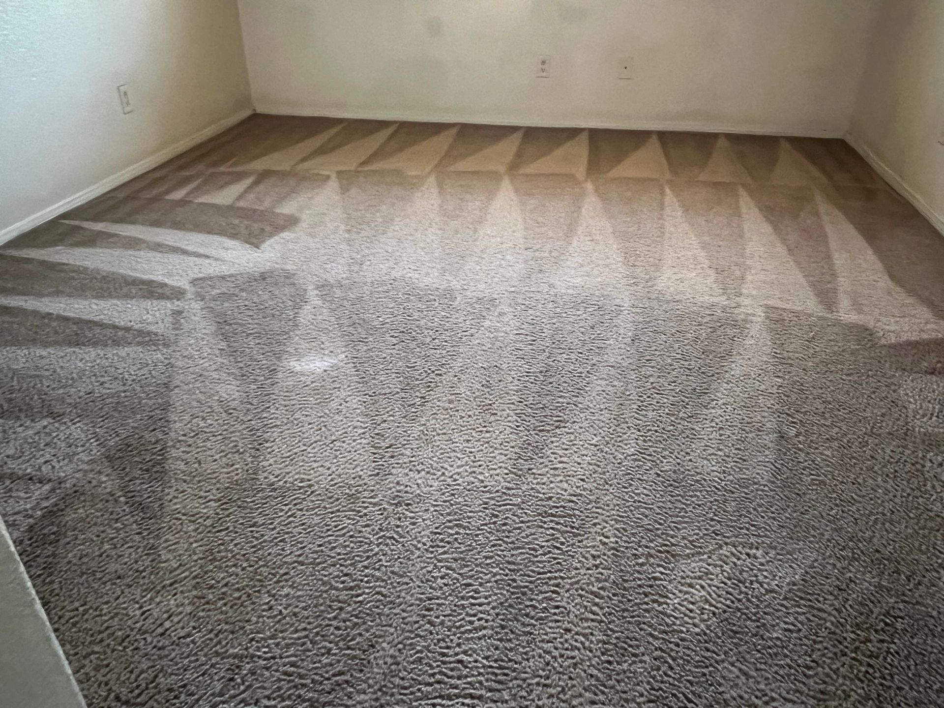 Beige carpet cleaned in a geometric pattern, in an empty room with off-white walls.