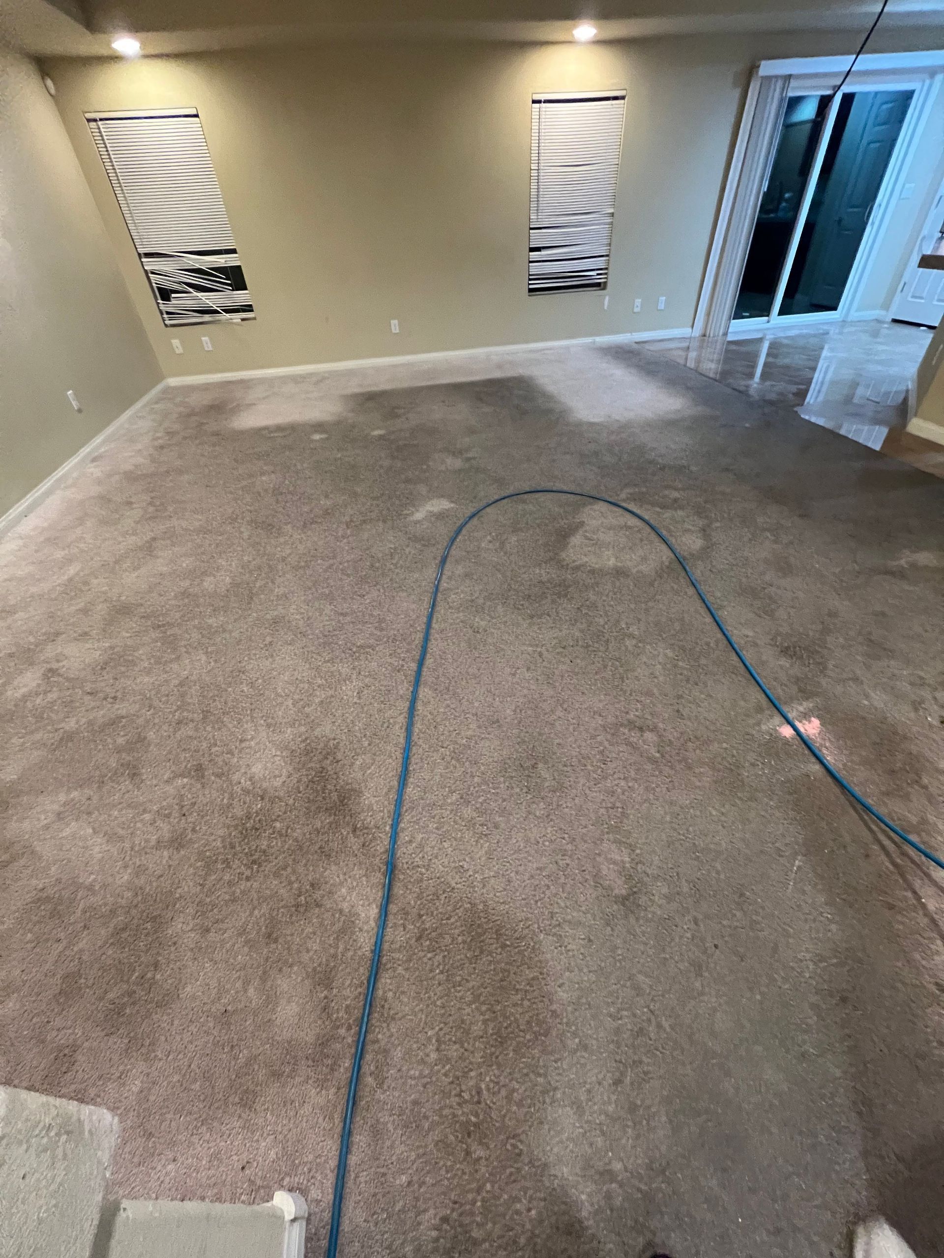 A carpeted room with wet spots and a blue hose. Artwork on the walls, sliding glass door on the right.