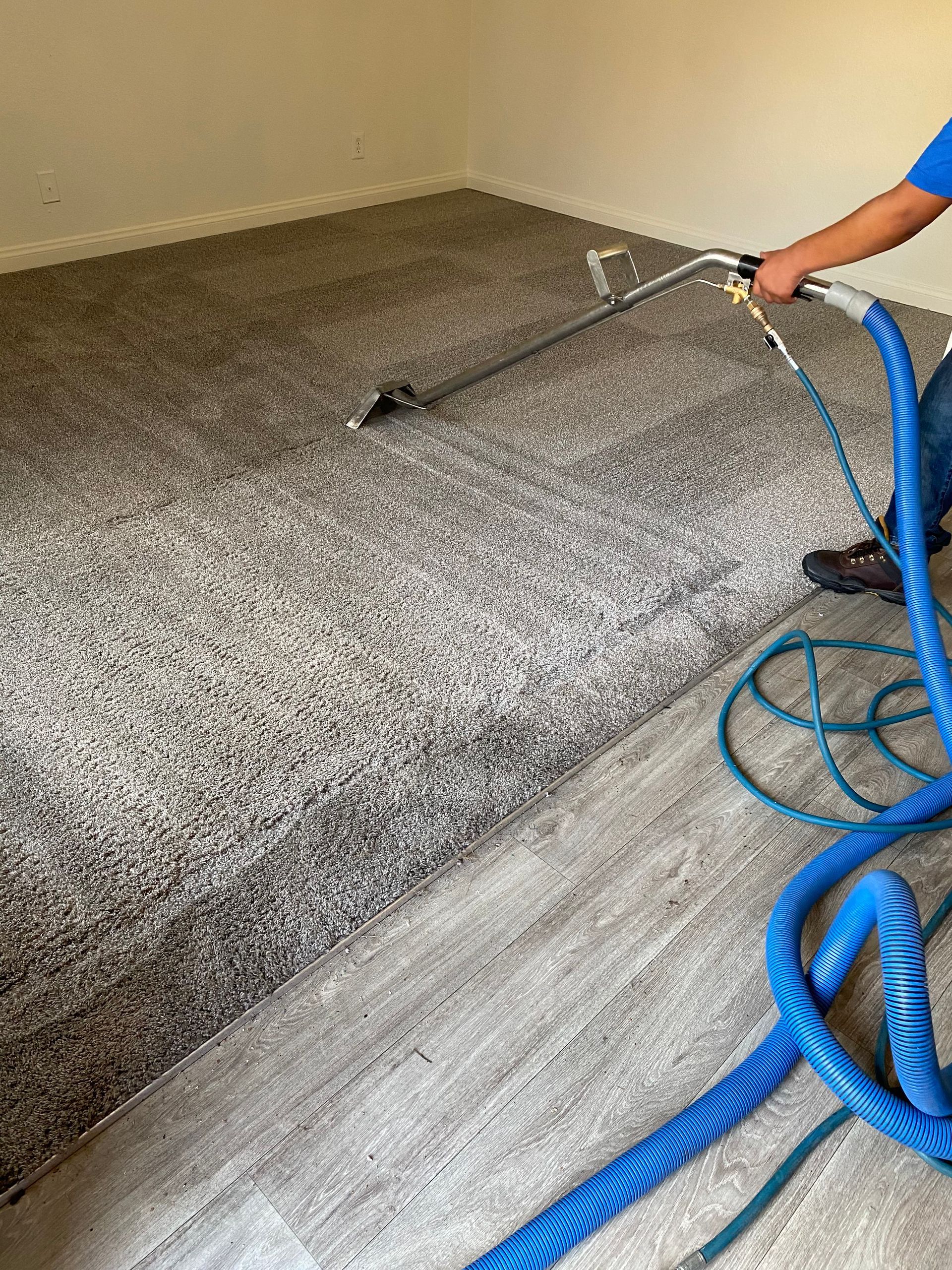 Person cleaning carpet with a machine; shows wet and dry areas; room with beige walls and gray carpet.