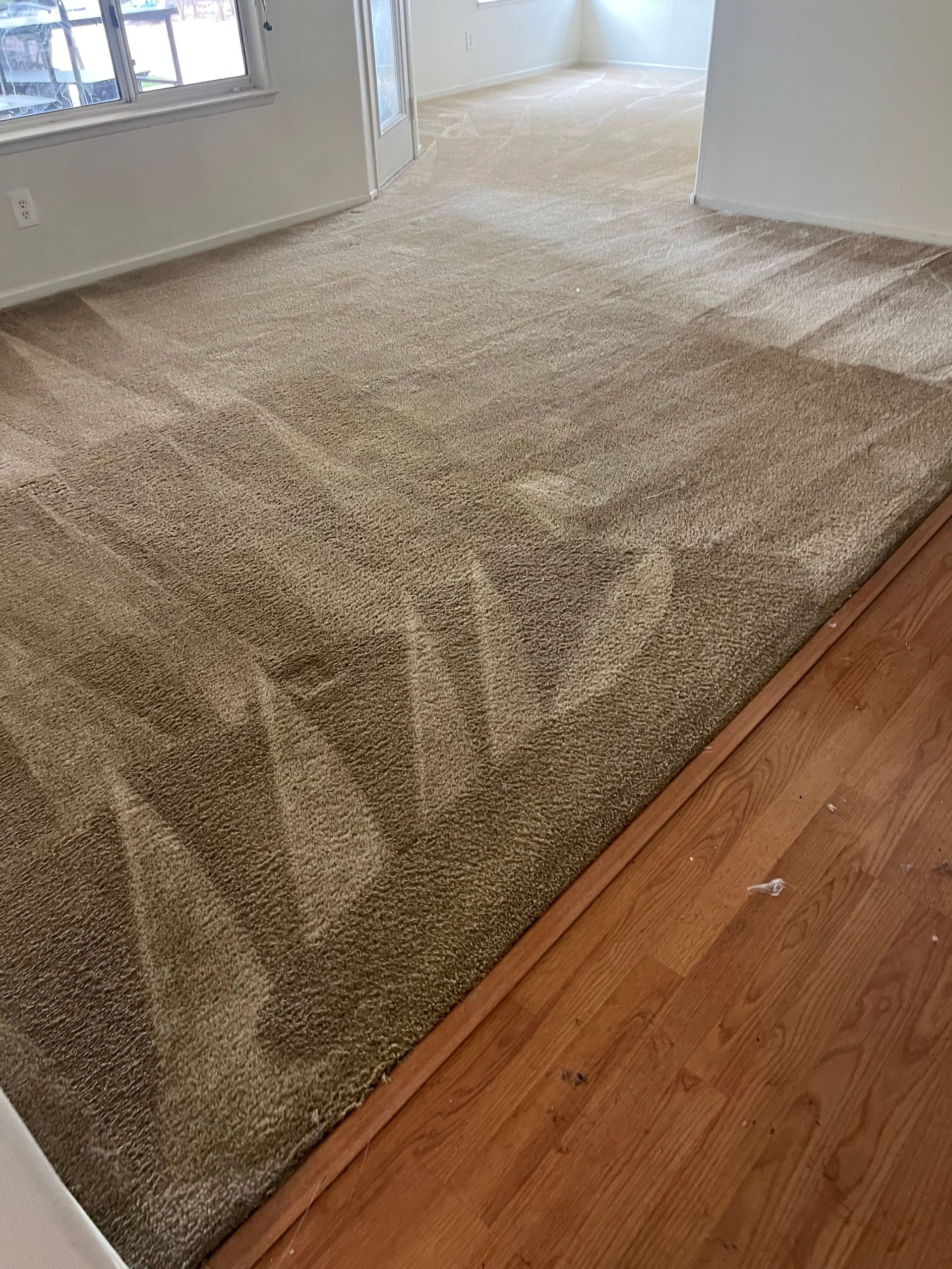Beige carpeted floor next to a wooden floor in a room, sunlight from a window.
