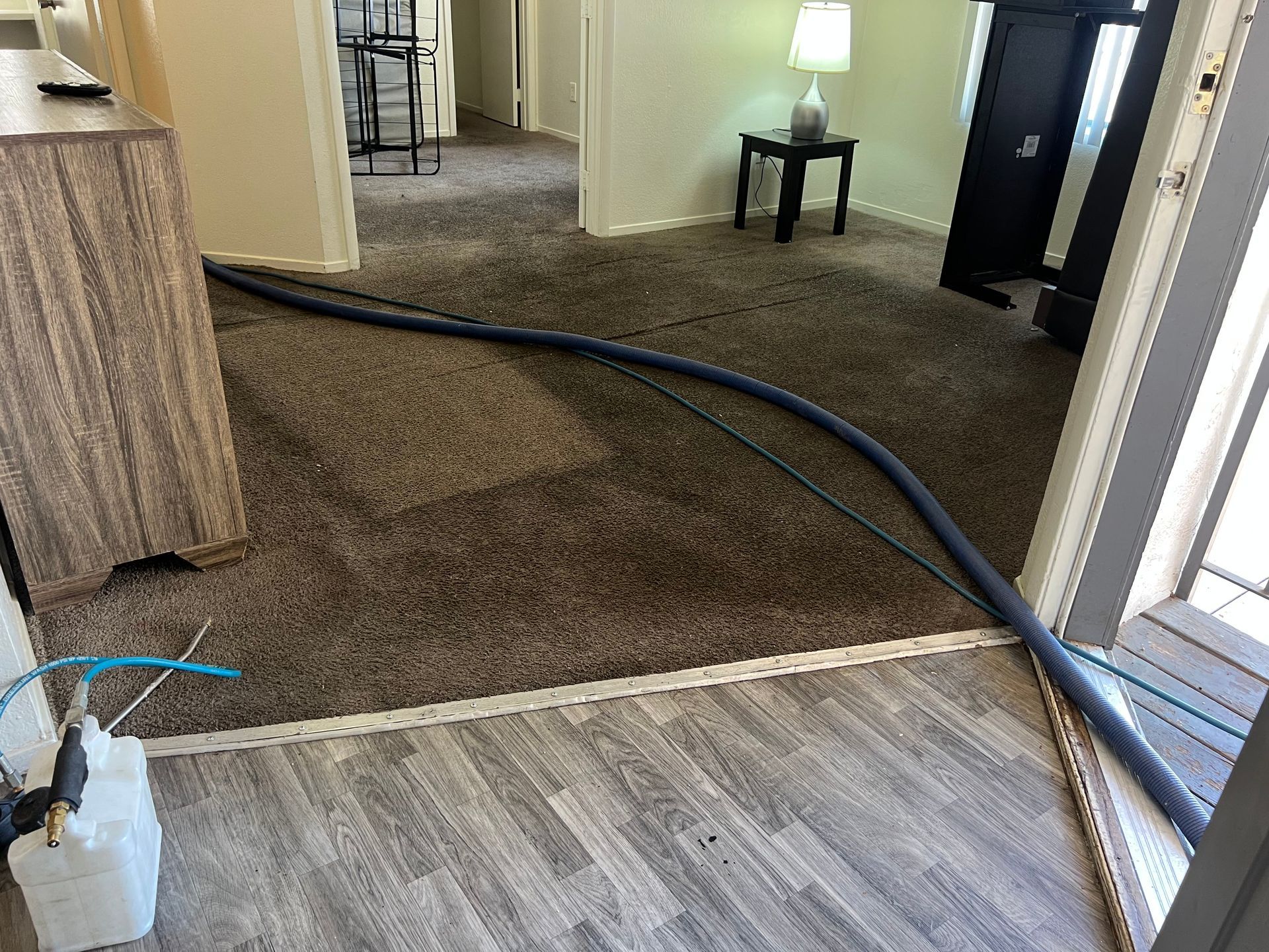 A carpet cleaning hose snakes across a doorway; brown carpet in the room and wood-look flooring outside.