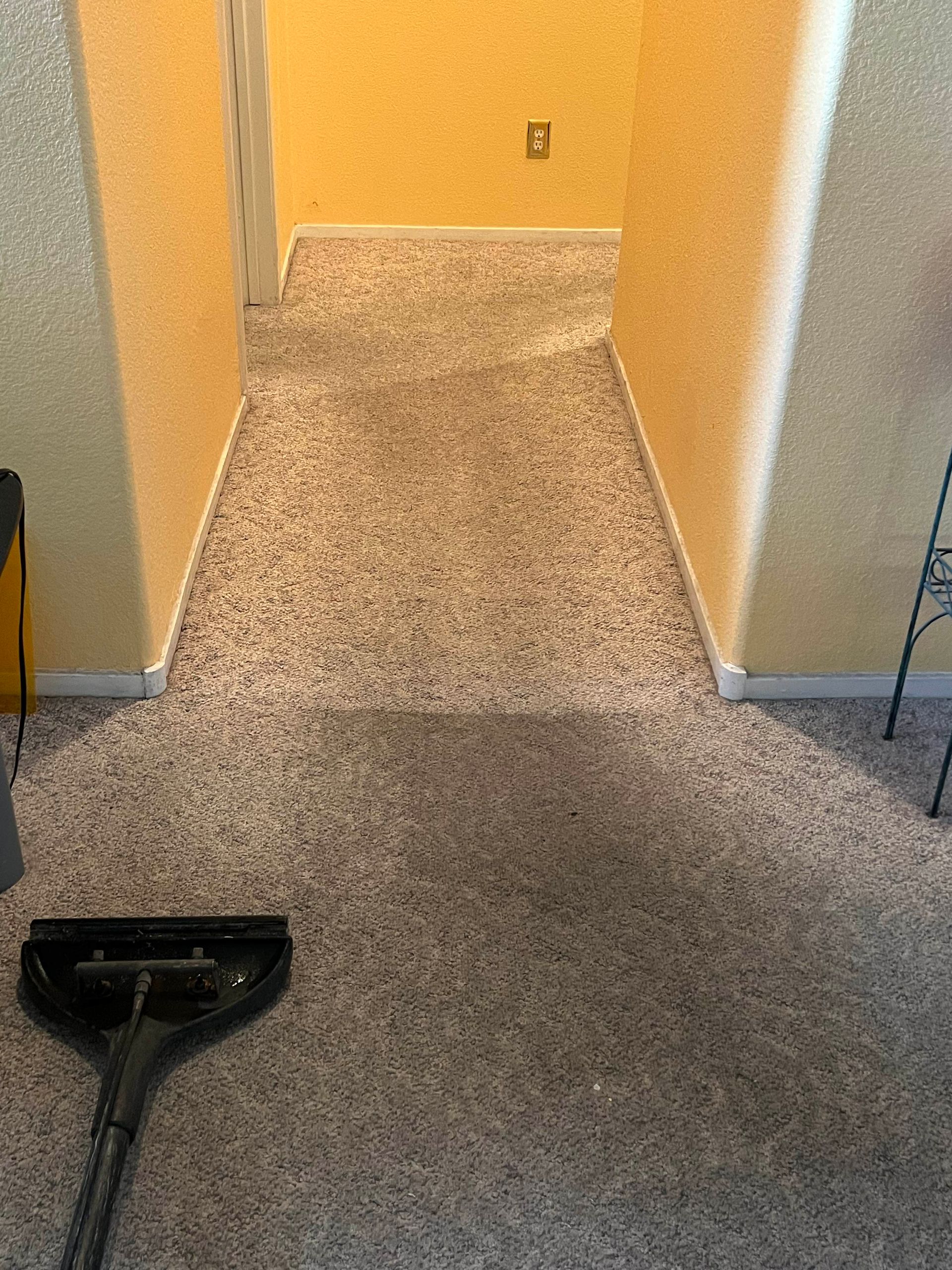 A hallway with speckled carpet, leading to a yellow-walled space. Carpet cleaning tool in the foreground.
