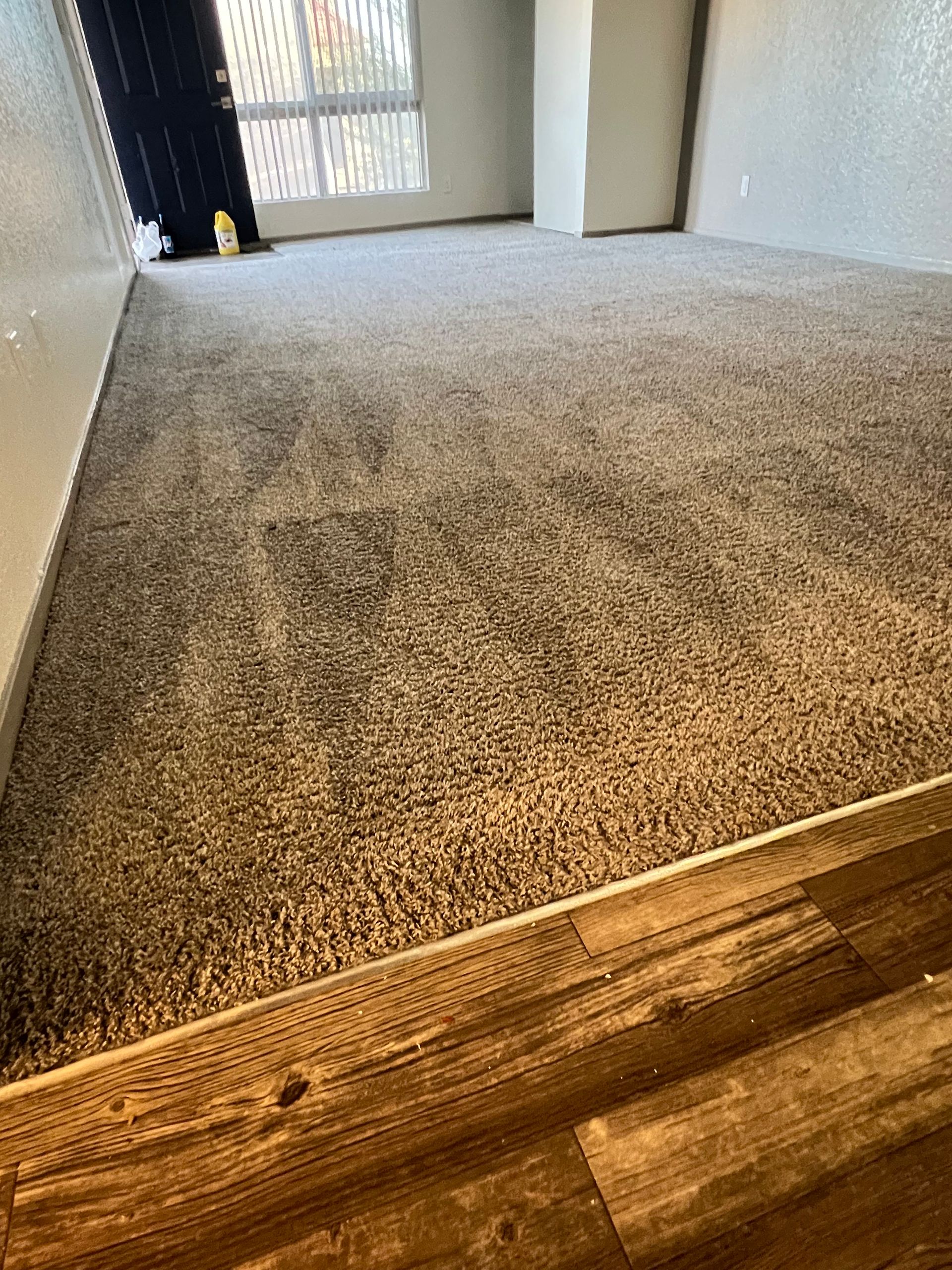 Room with new, neutral-toned carpet and a wooden floor border; window in background.