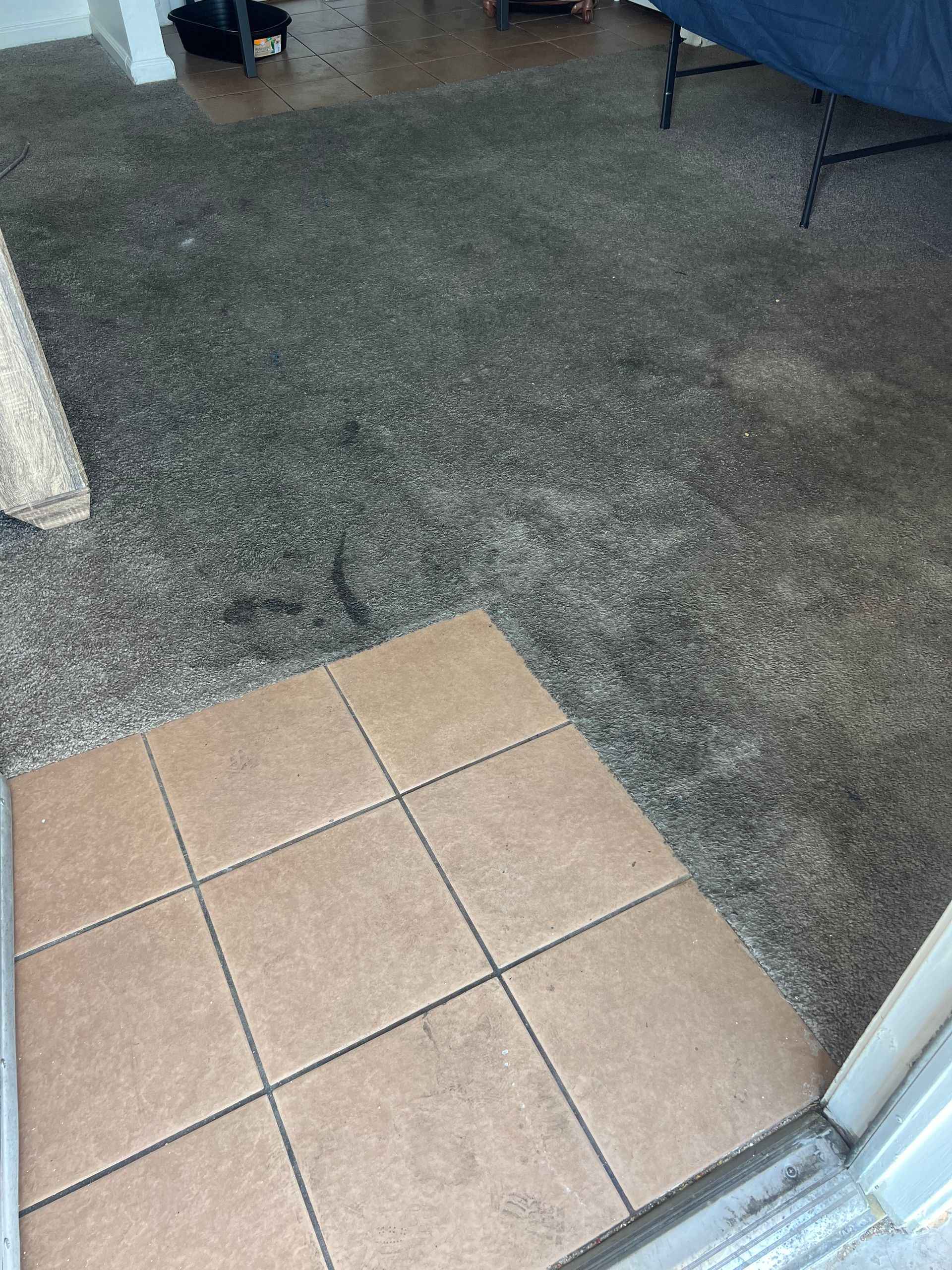 Brown tiled floor leading to gray carpeted area.