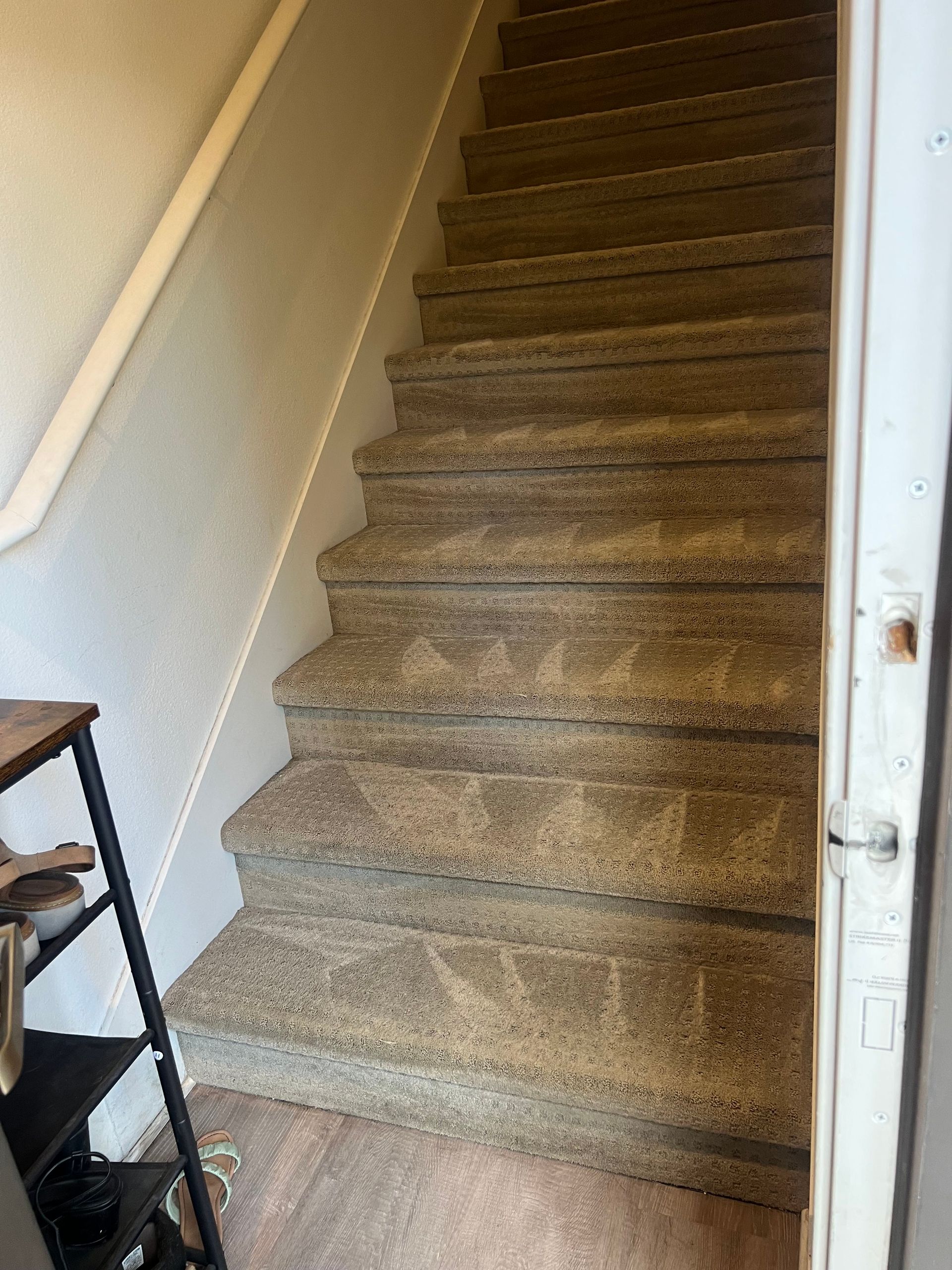 Staircase with carpet, handrail on the left, and a partially open white door on the right side.