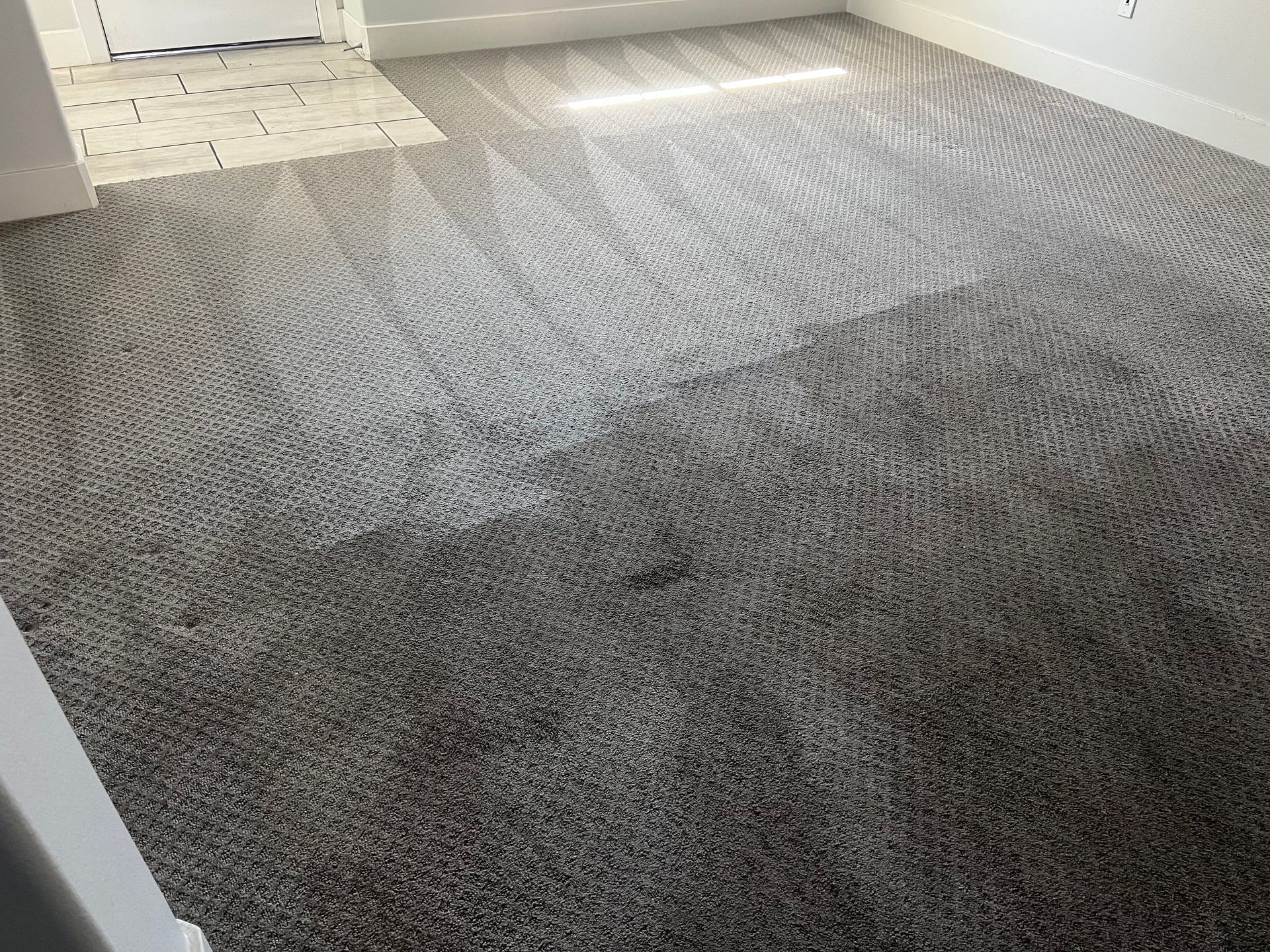 Gray carpet in a room with sunlight.