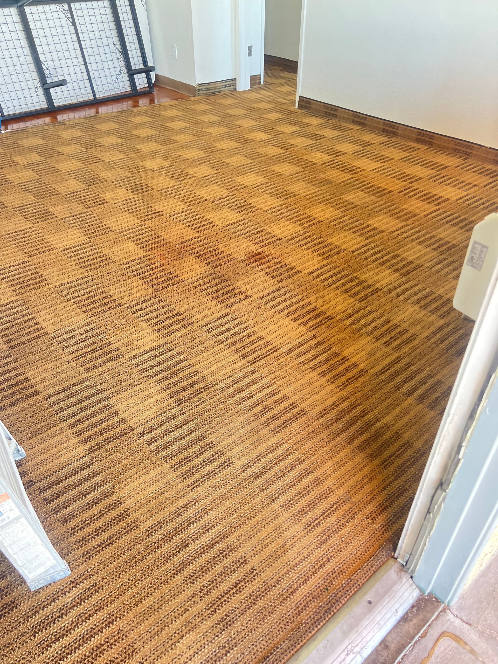 Brown and tan patterned carpeted floor in a room.