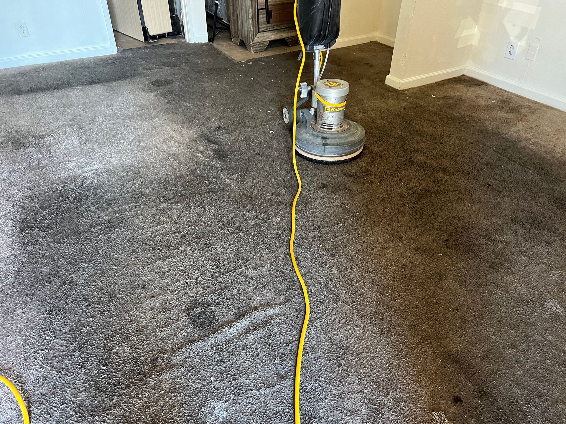 Carpet cleaner scrubbing a dirty, gray carpet with a yellow cord running across it.