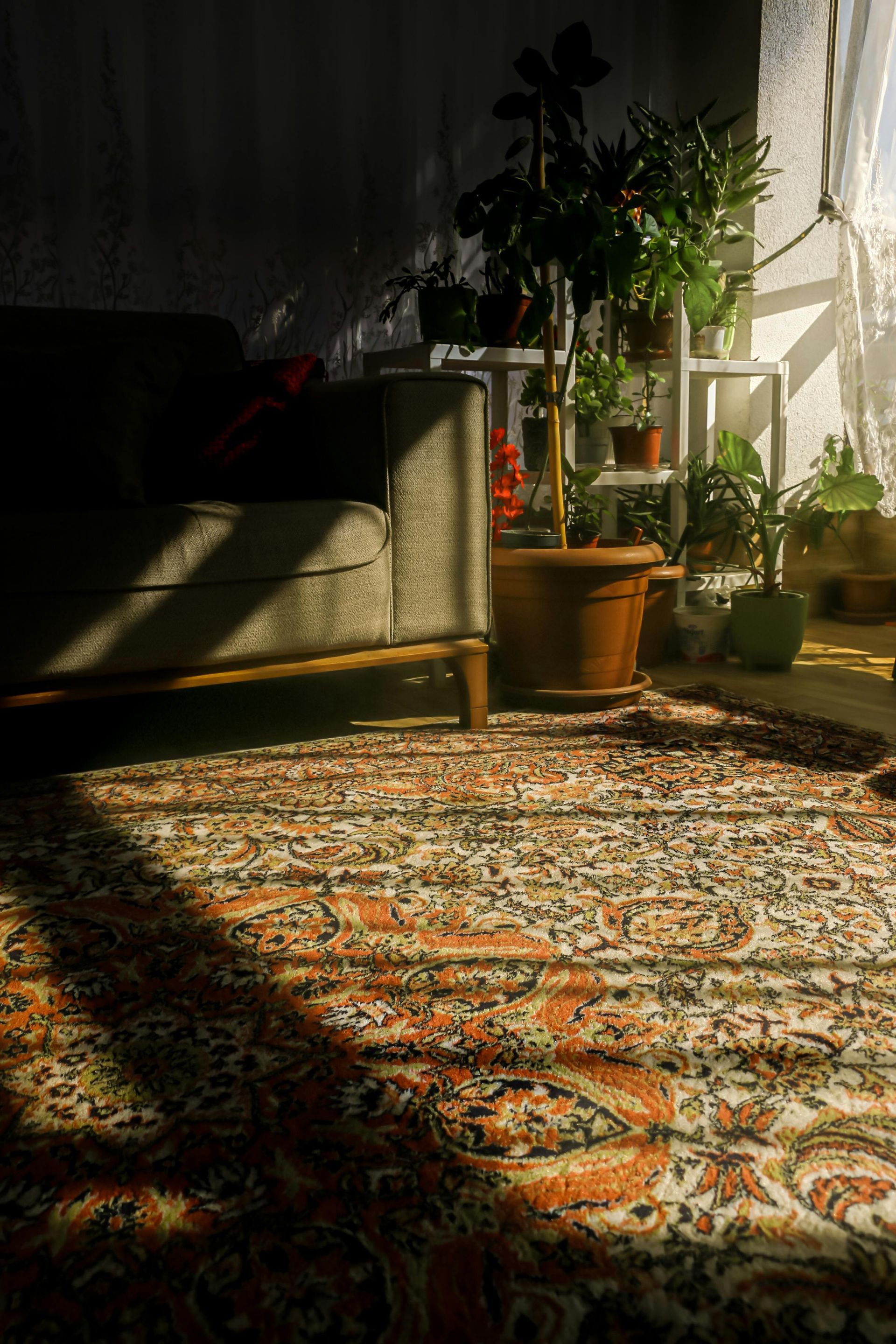 Sunlit room with sofa, patterned rug, and potted plants near a window.