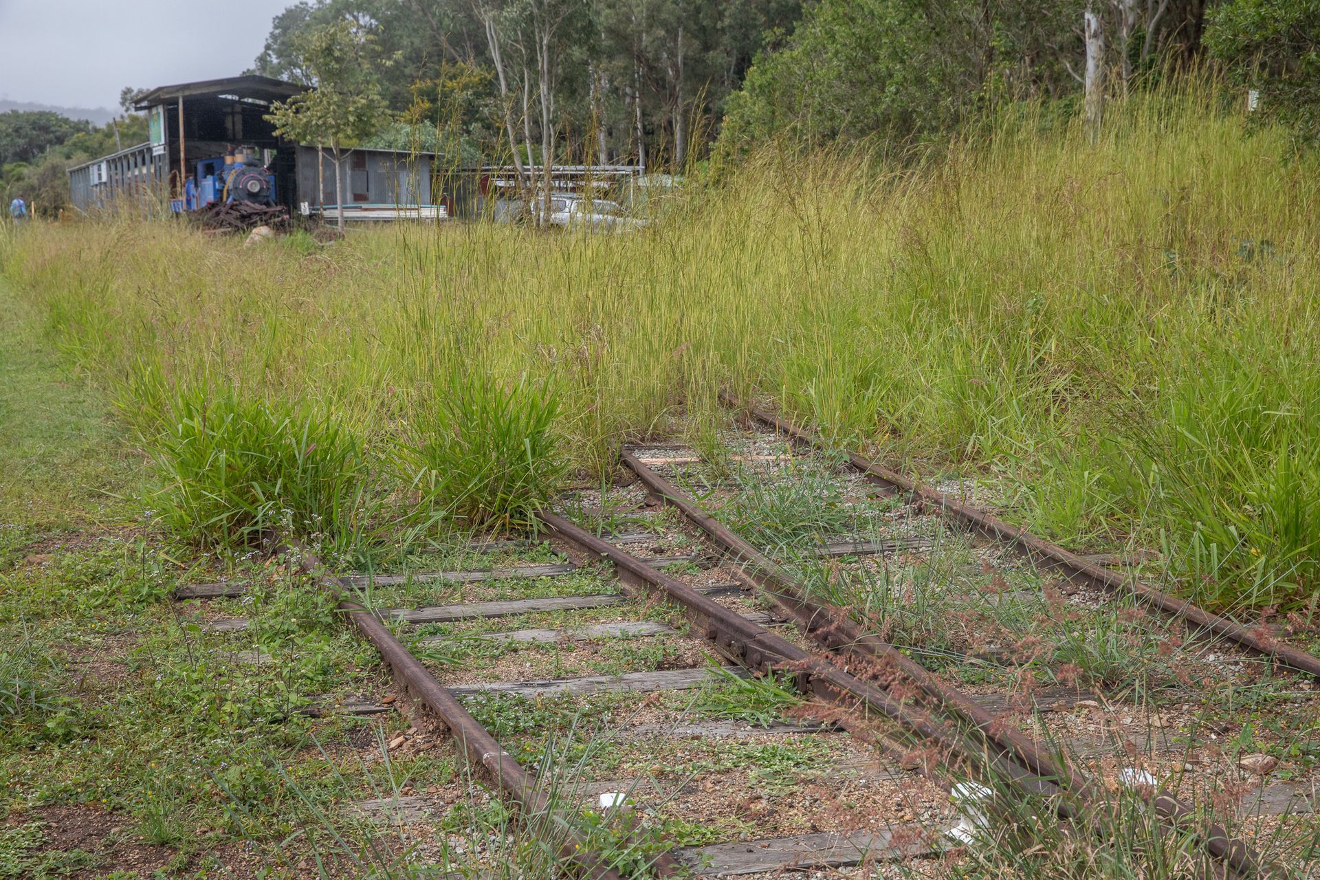 Old, overgrown train tracks with a small, weathered building in the background.