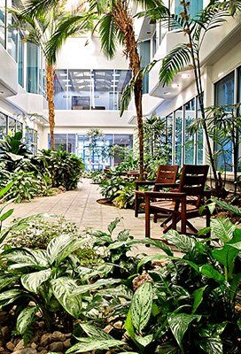 Chairs next to grass and trees — Stockton, CA — Sherwood Executive Center