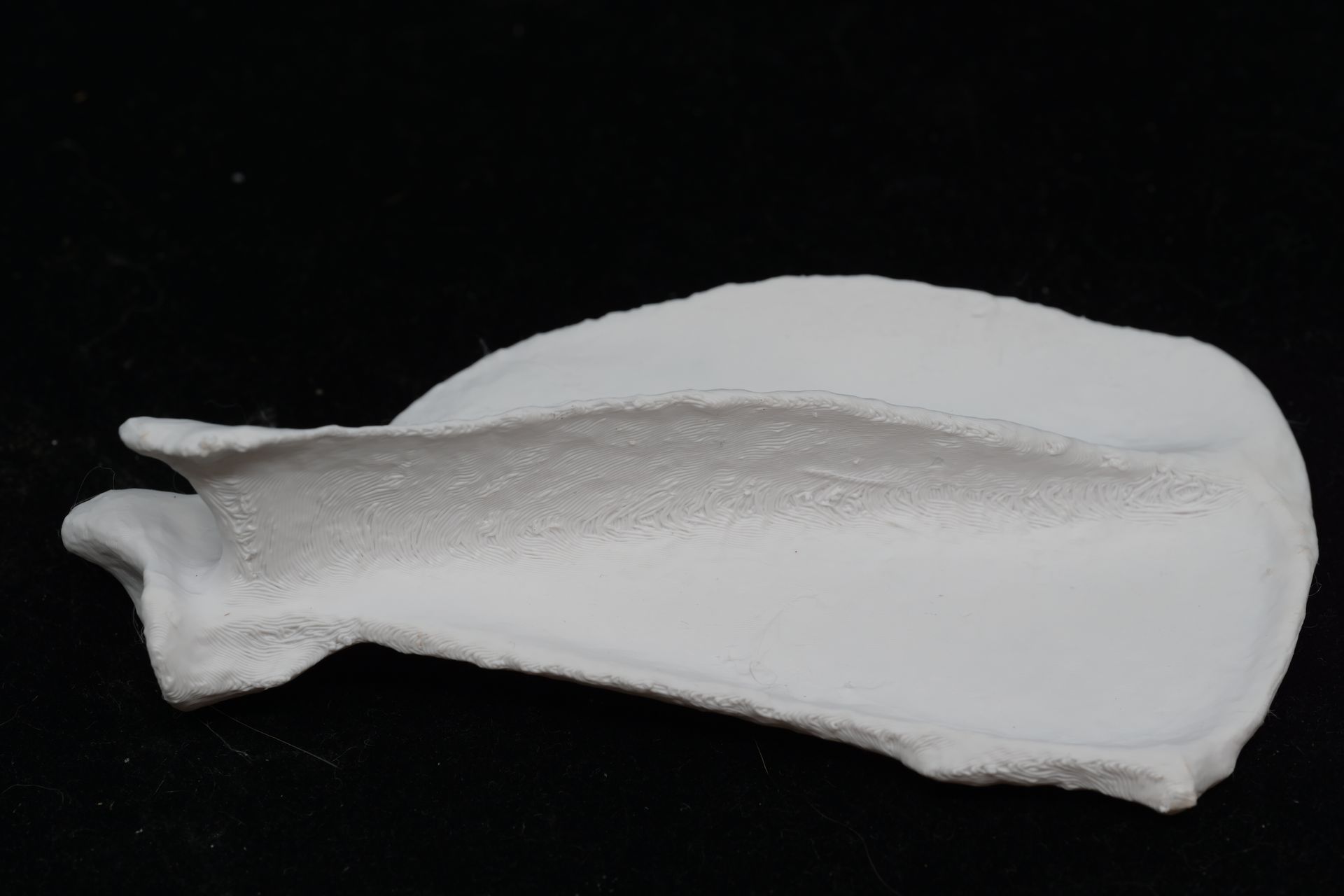 3D-Printed Canine Forelimb Study Kit