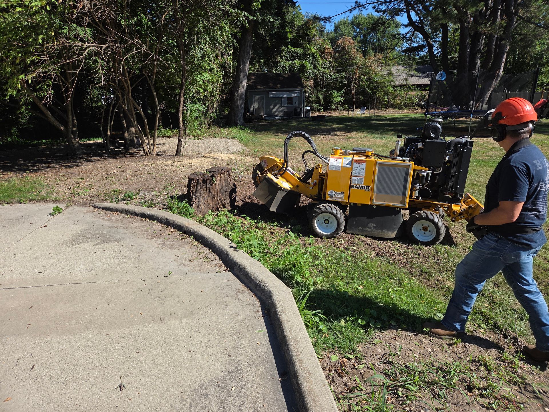 Removing old stumps e in Royal Oak, MI.