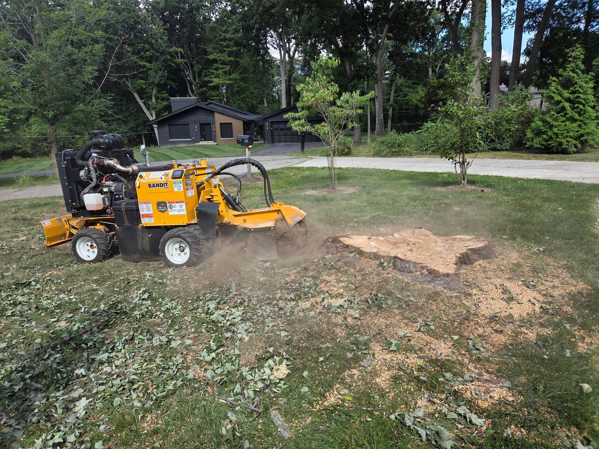 Grinding a large tree stump in front of a residential property in Bloomfield Township, MI