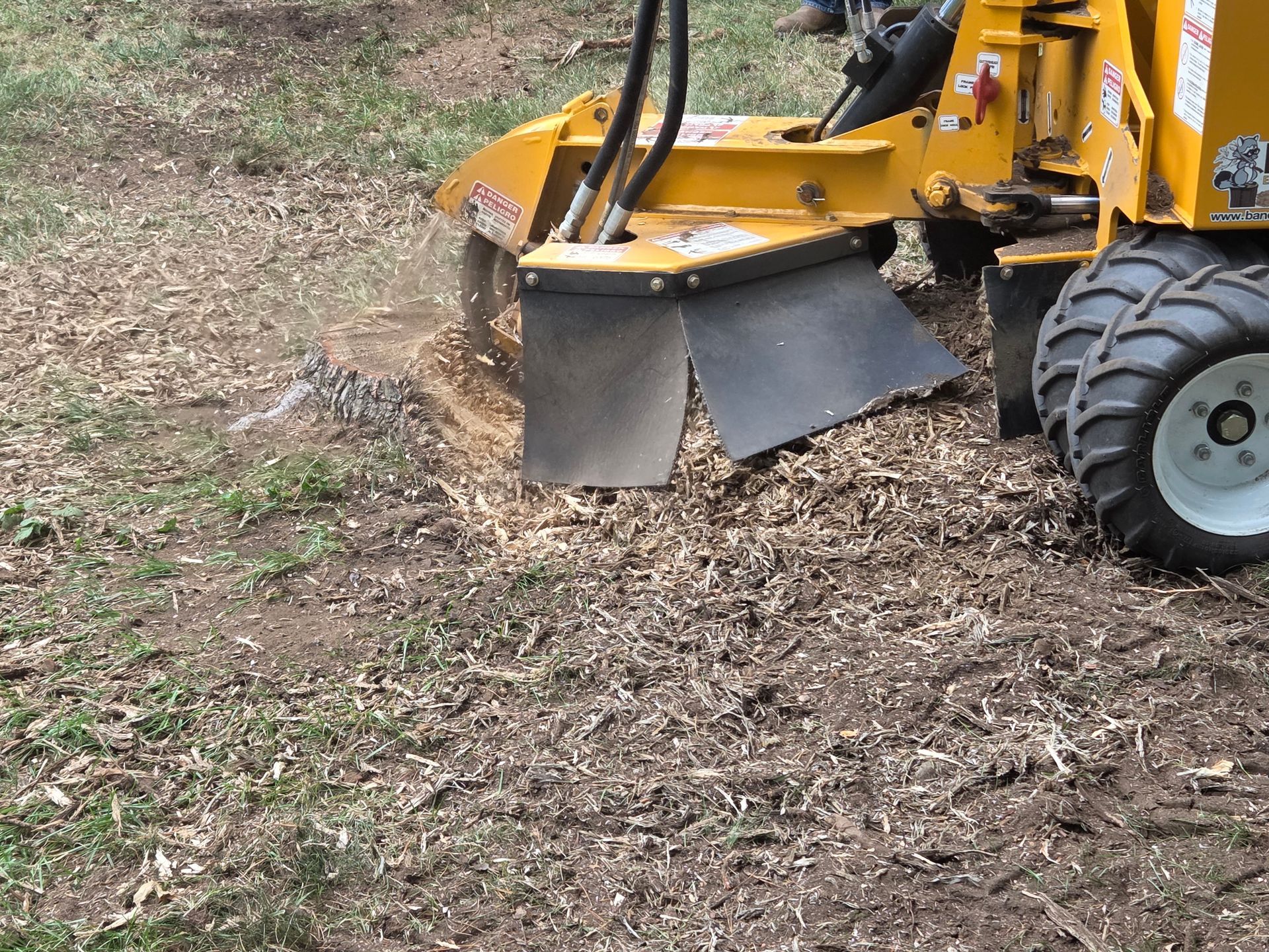Stump Grinding in Bloomfield Hills, MI