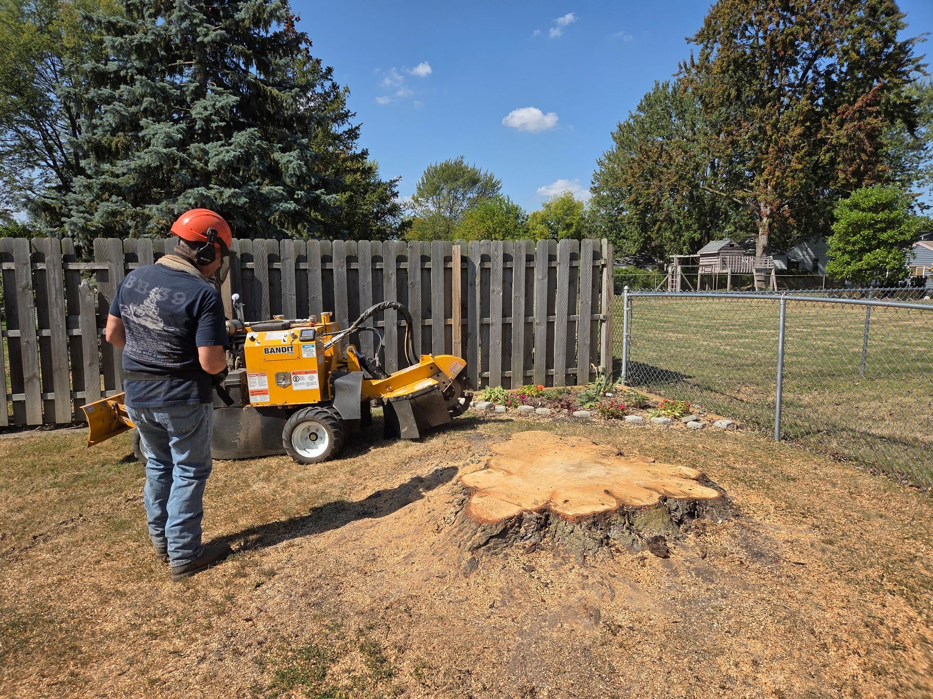 Grinding large 2 stumps in Macomb County, MI