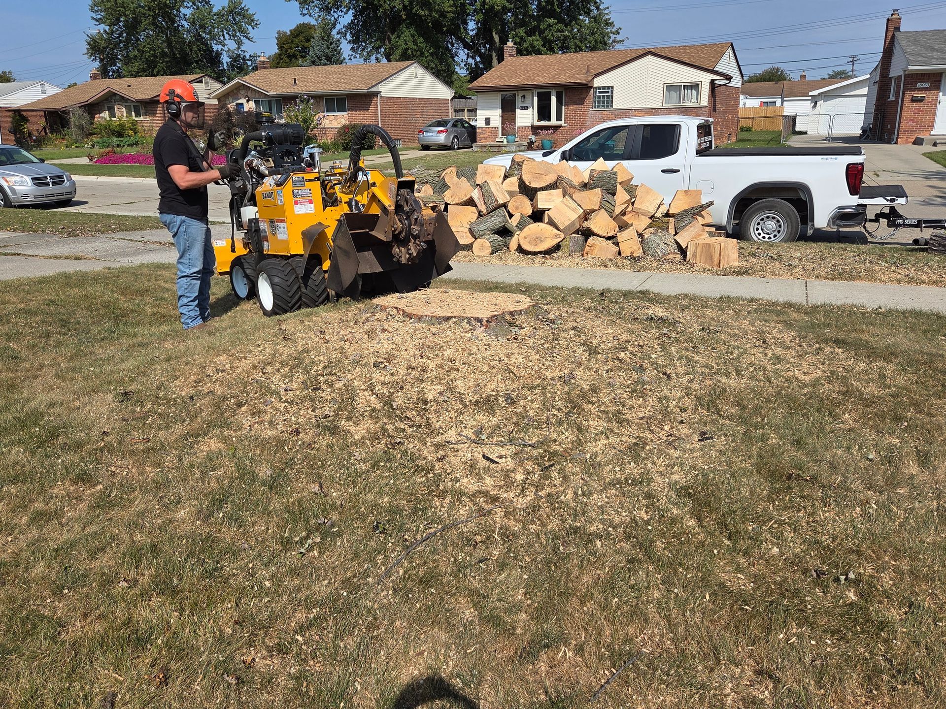 Stump Grind in Utica, MI. 