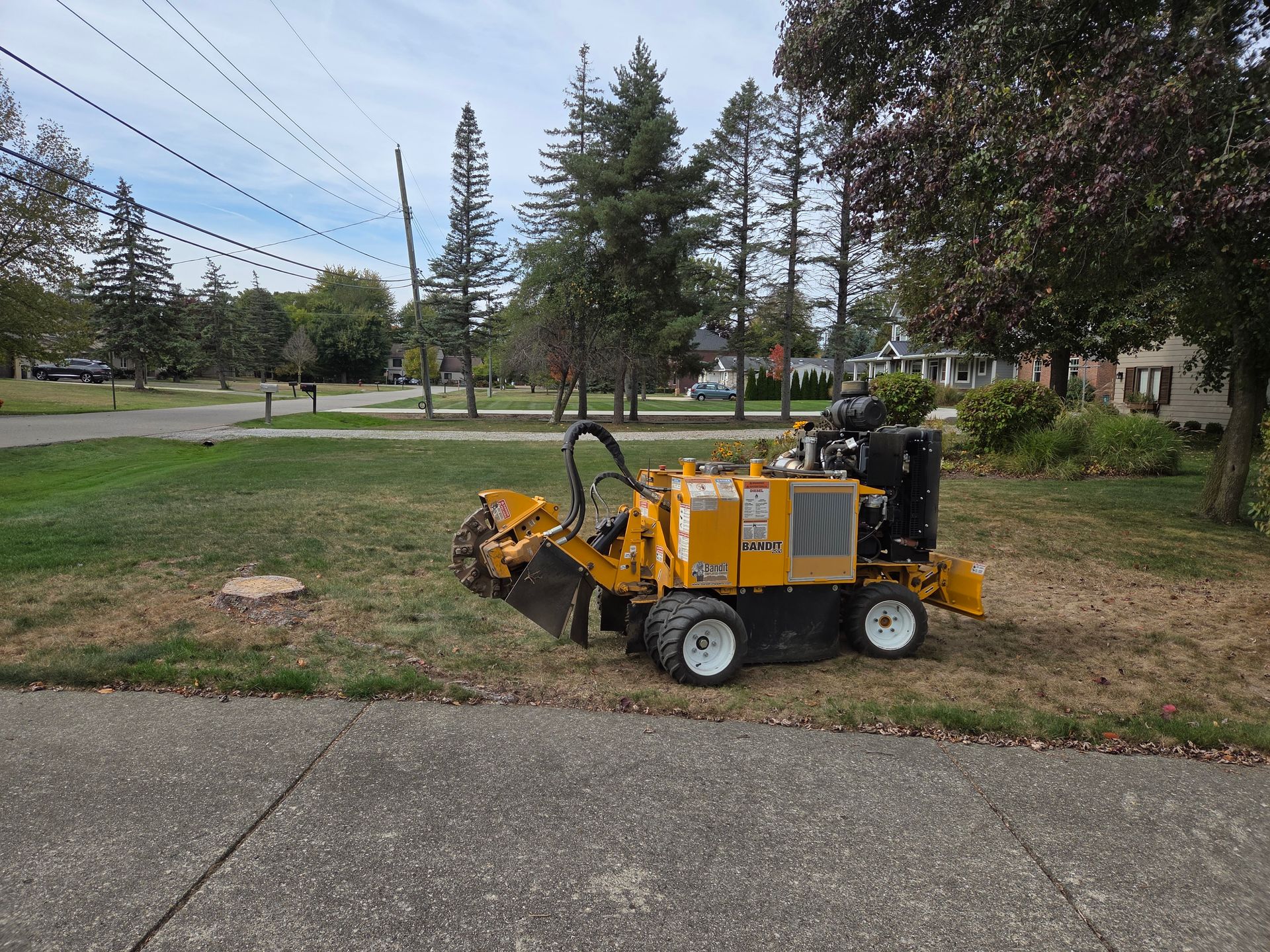 Grinding 7 stumps in Troy, MI.