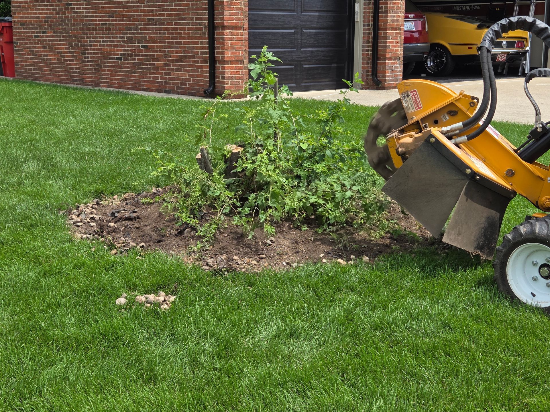 Stump Grinding in progress in a residential yard in Shelby Township, MI
