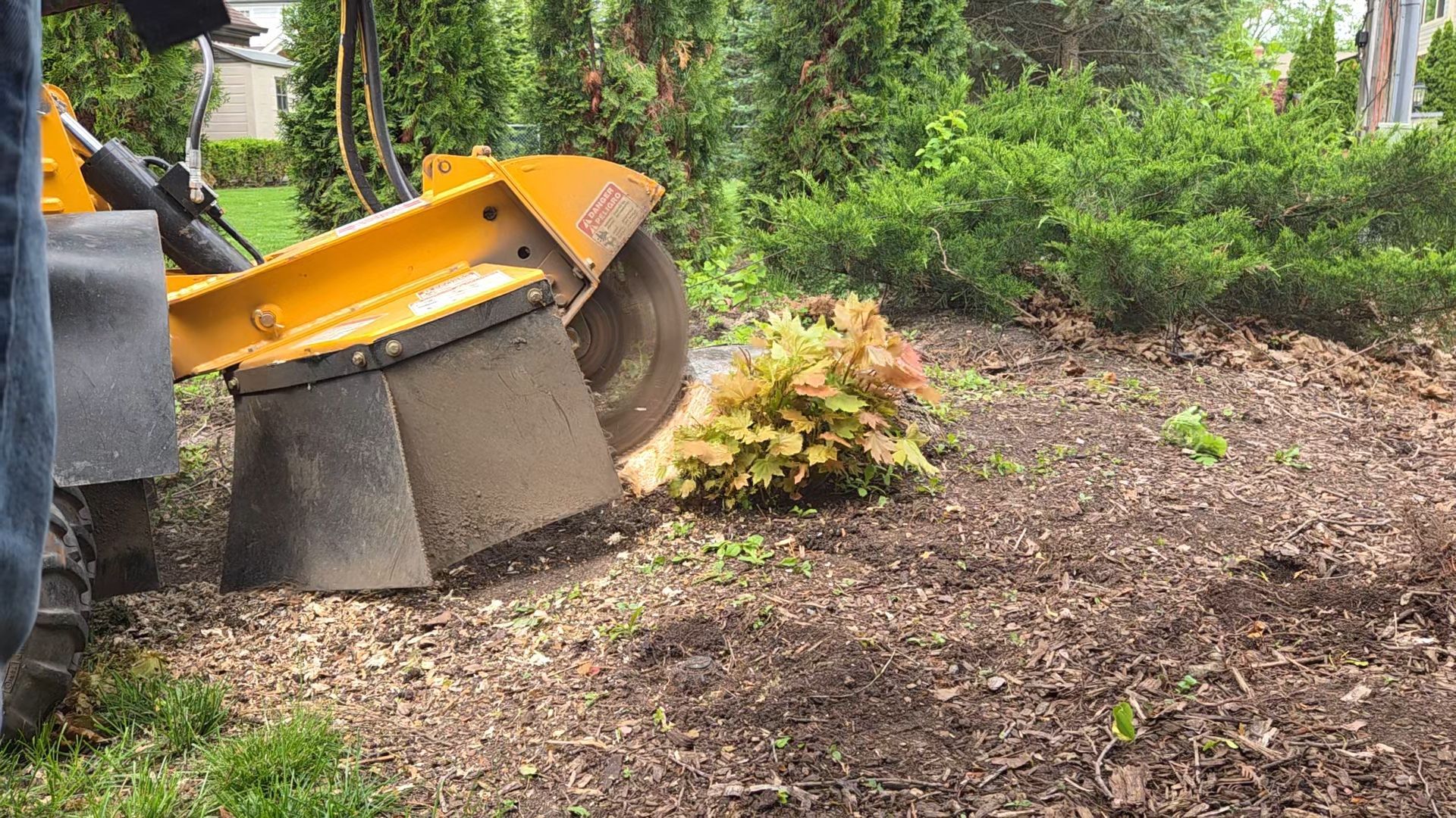 Stump Grinding in Bloomfield Township, MI