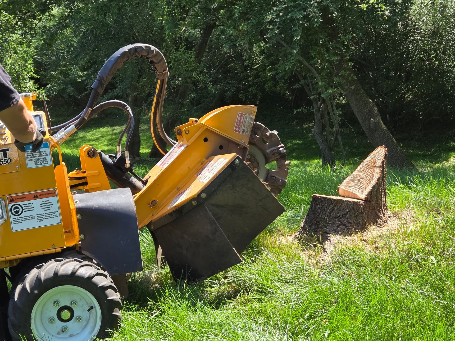 Grinding down three stumps in Rochester Hills, MI.