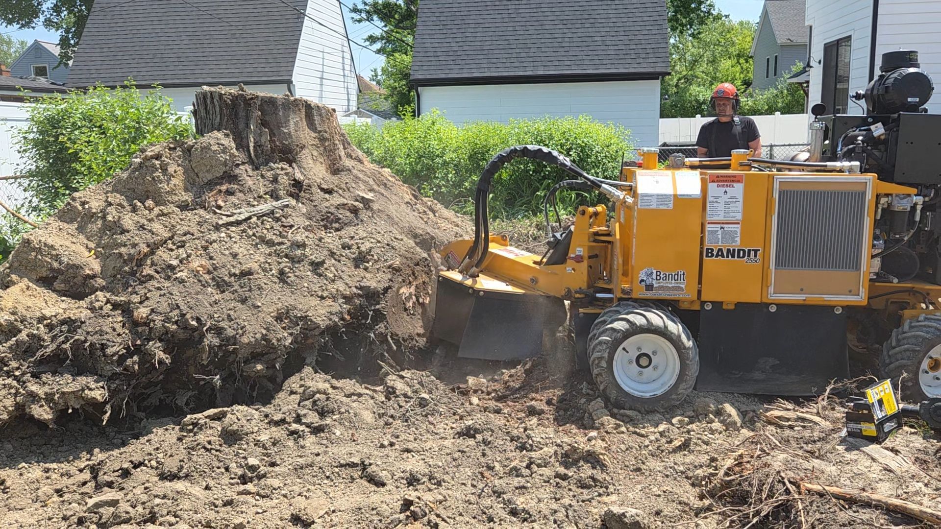 Stump Grinding service in Berkley, MI. We can grind uprooted stumps and large roots.