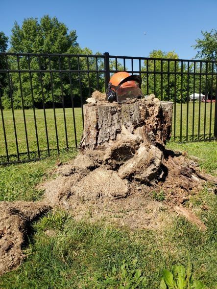 A tree stump is sitting in the grass next to a fence.