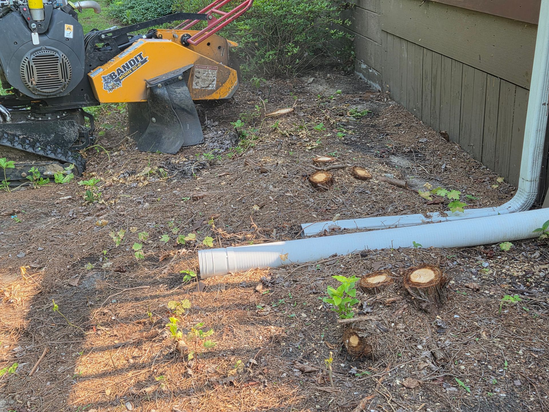 Stump Grinding service in Troy, MI. Removing small stumps located close to a residential house.