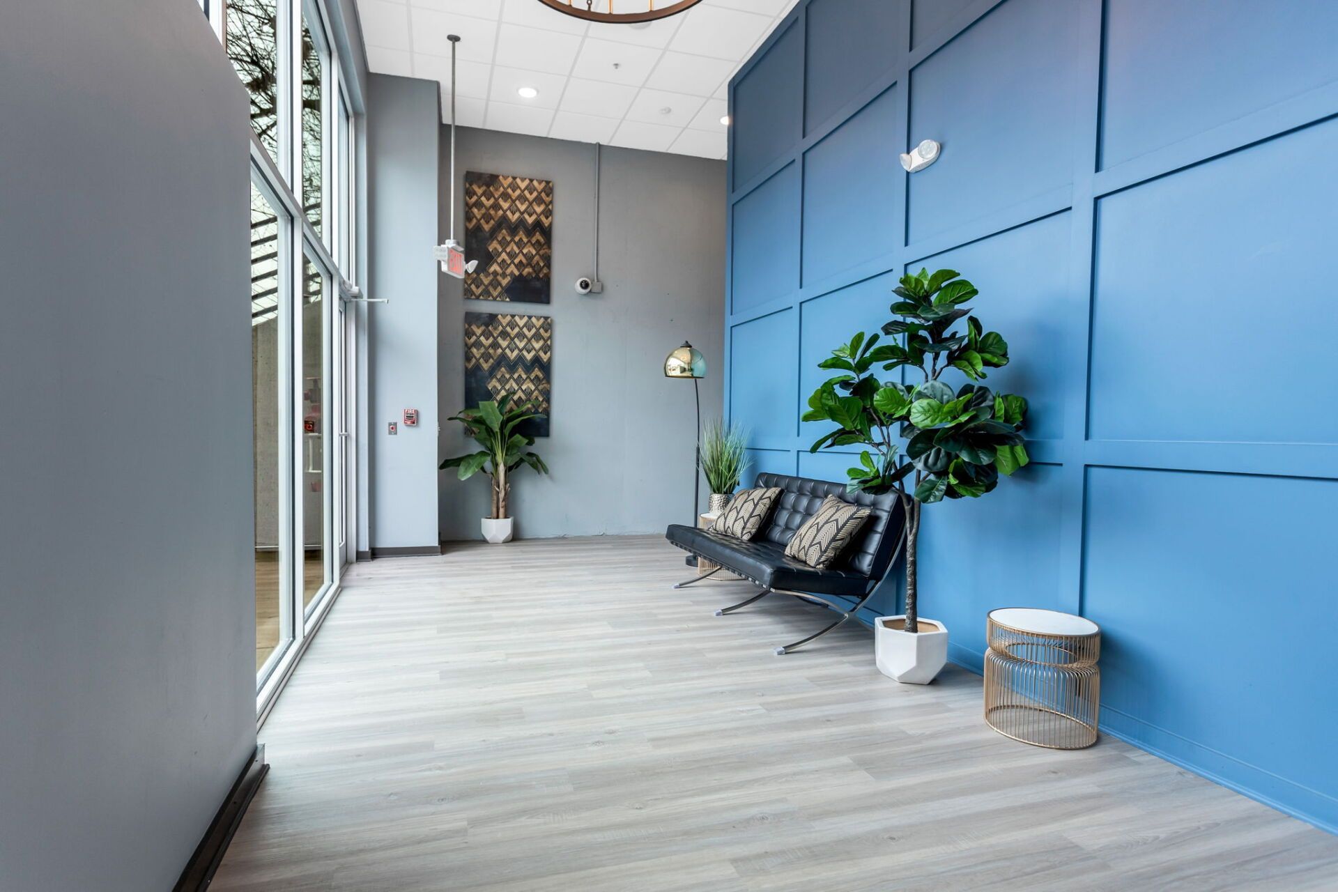 There is a couch and a plant in the hallway.