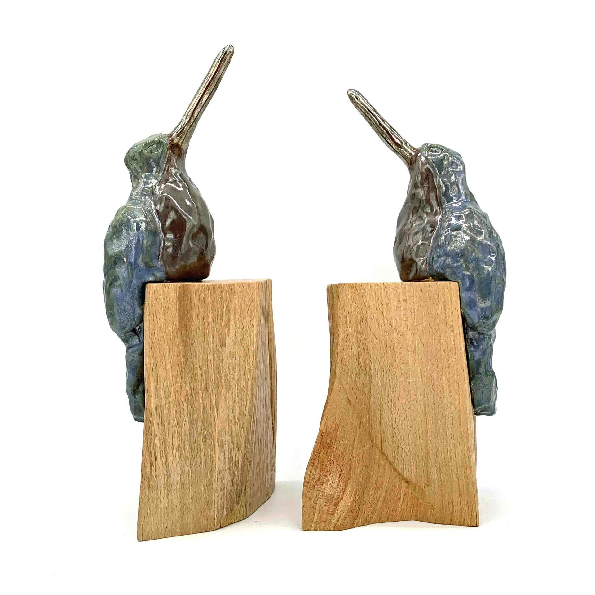 ijsvogels nijlpaard poes en andere dieren zoals zebra en teckel