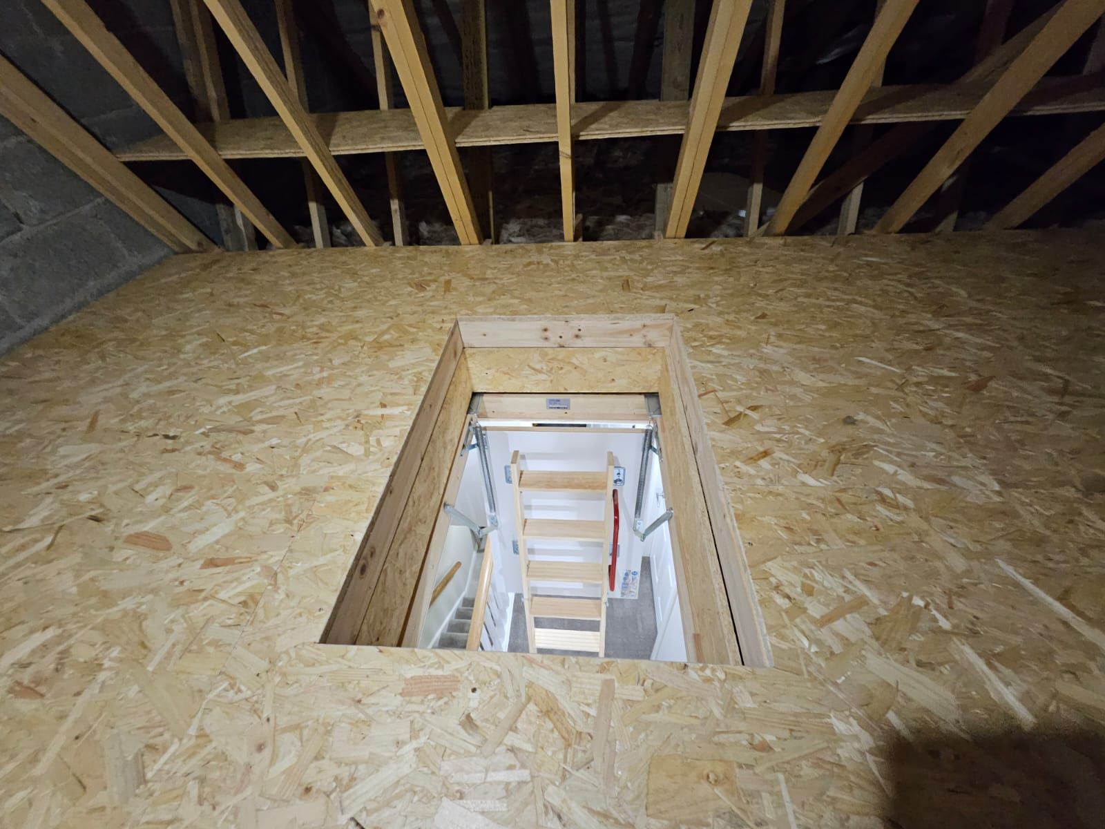 Interior view of an attic with a wooden access hatch and a pull-down ladder.