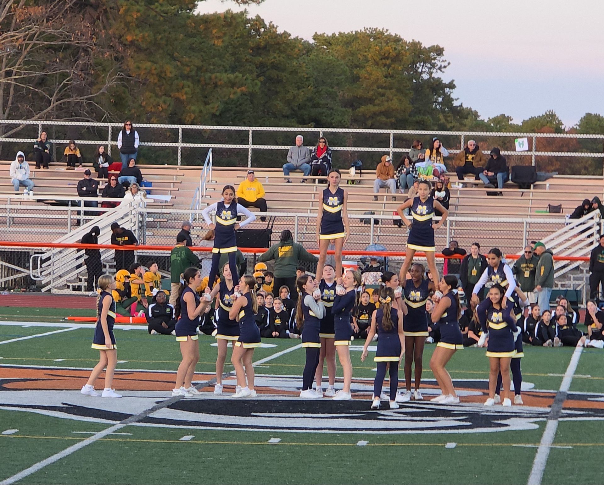 Red, white, and blue pom-poms held high by cheerleaders during a performance.