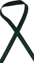 A close up of a black ribbon on a white background.