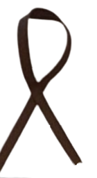 A close up of a brown ribbon on a white background