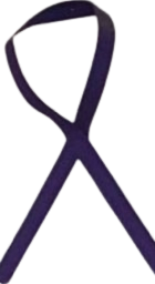 A close up of a purple ribbon on a white background.