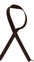 A close up of a brown ribbon on a white background.