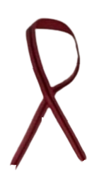 A red ribbon is crossed over itself on a white background