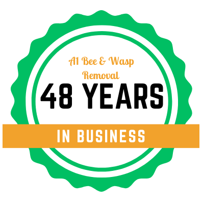 48 years in business