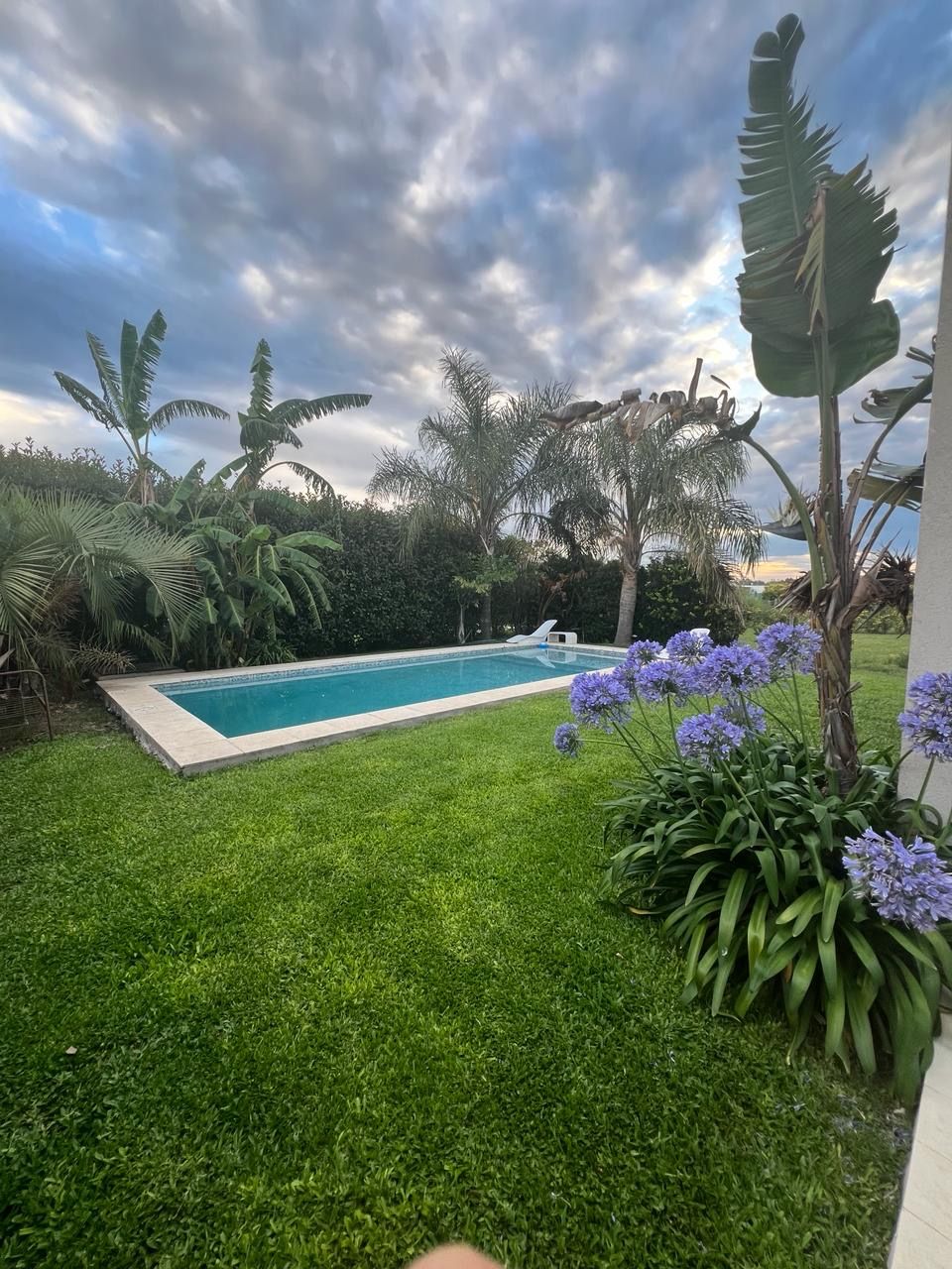 Una piscina en el patio trasero rodeada de césped verde, árboles y flores moradas bajo un cielo nublado.