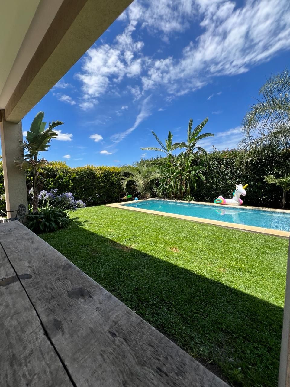 Vista desde la piscina de un césped verde, una piscina turquesa y un cielo azul. Hay un flotador de unicornio en la piscina.