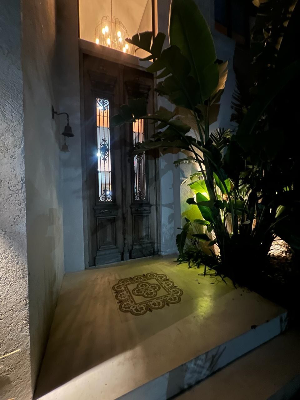 Puerta de madera con vidrieras, entrada iluminada, plantas en macetas.