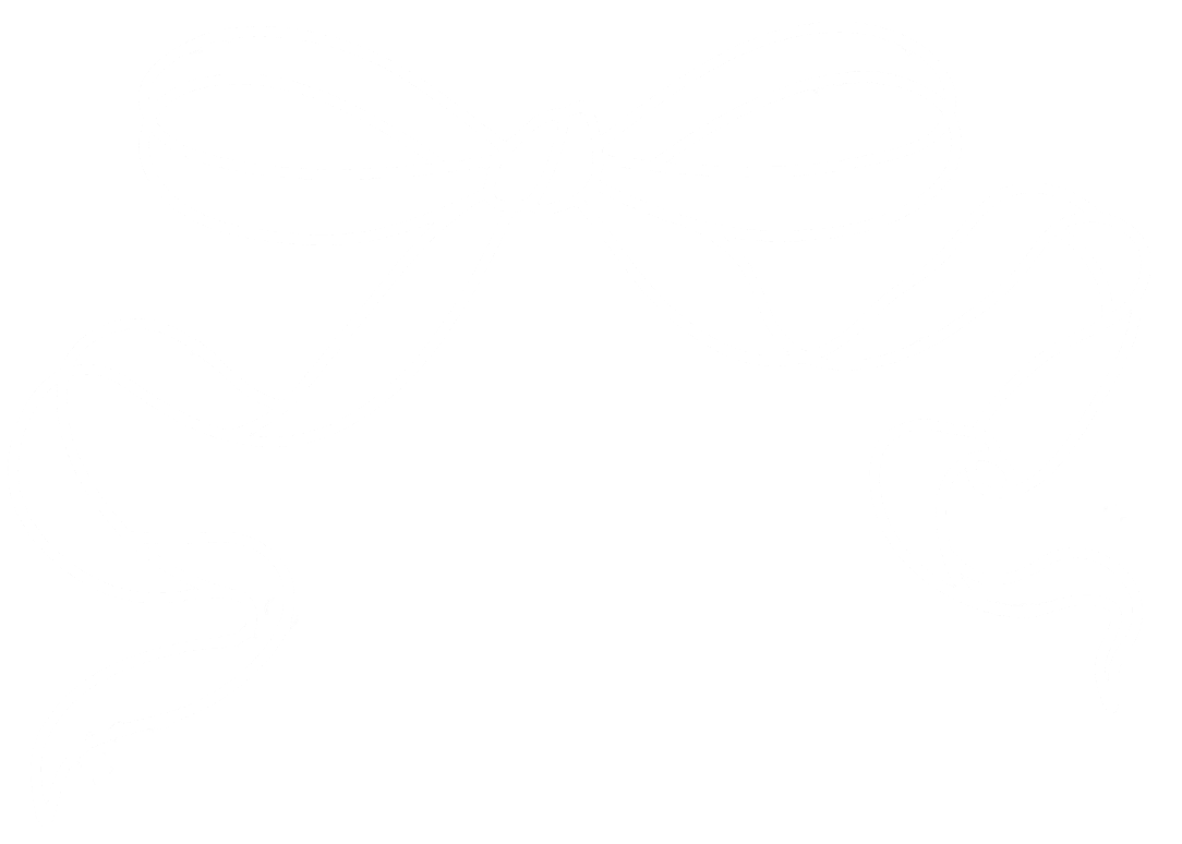 Blank white space.