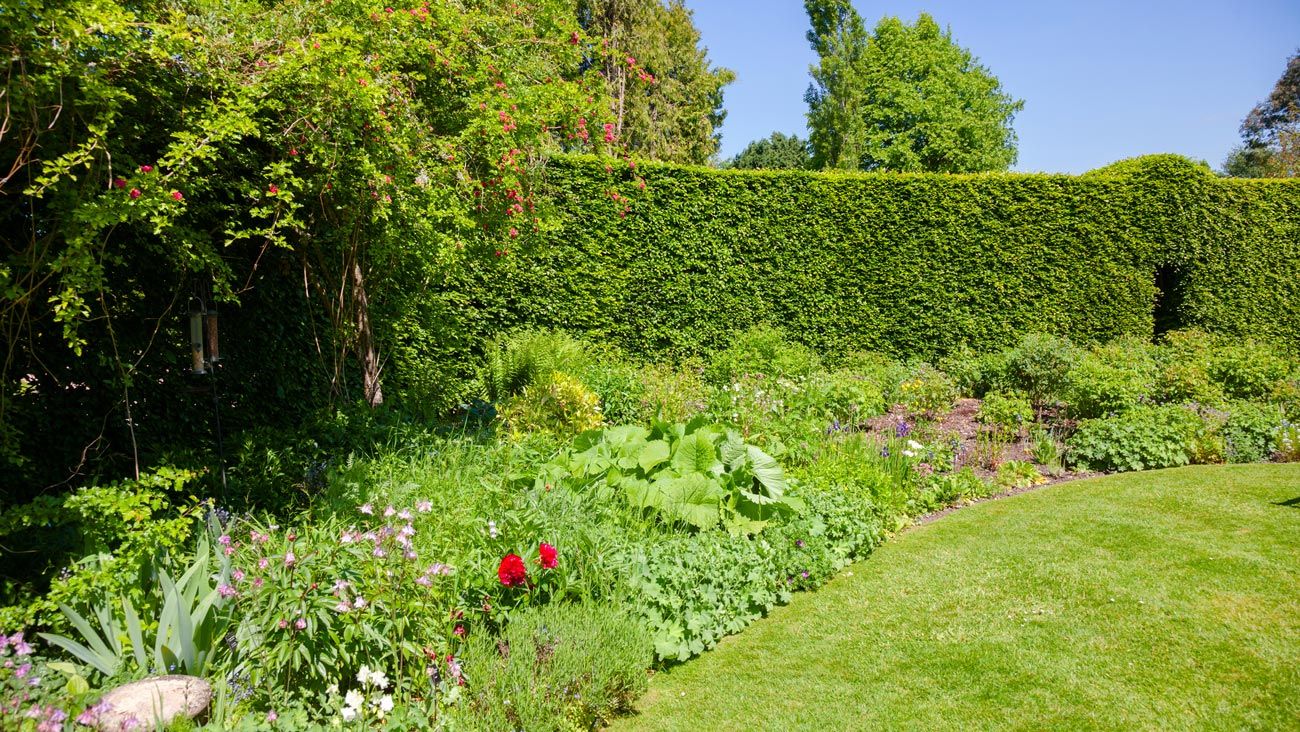 Lake Stevens Nursery — Garden and Bushes in Lake Stevens, WA