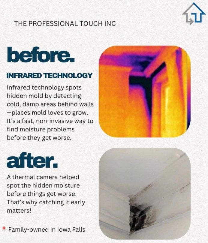 Infrared technology detects mold. 
