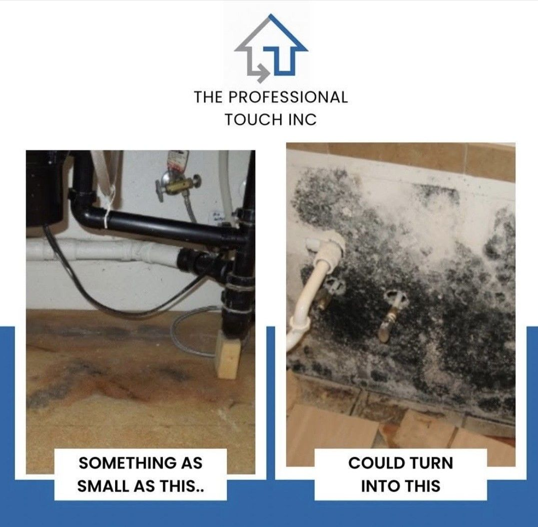 Comparison of minor water leak and severe mold growth. Plumbing fixtures shown in a damp setting.