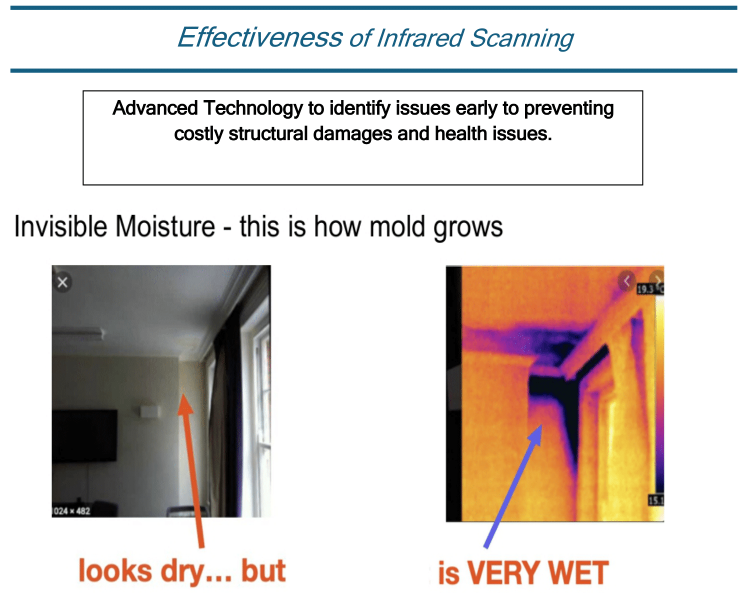Infrared scan showing wet area (purple) behind dry-looking wall, demonstrating mold growth detection.