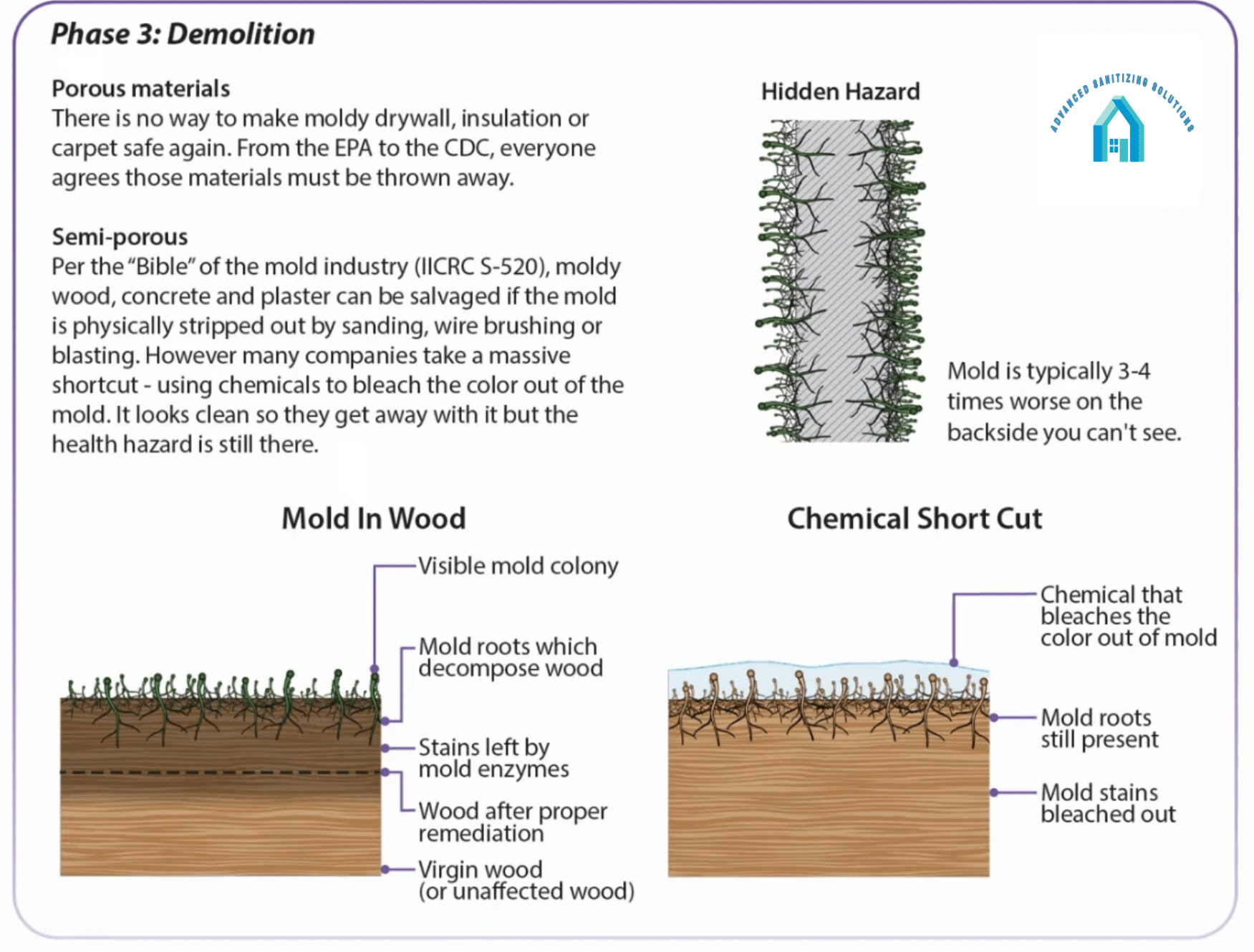 Diagram about mold remediation showing porous/semi-porous materials, mold in wood, and chemical shortcuts.