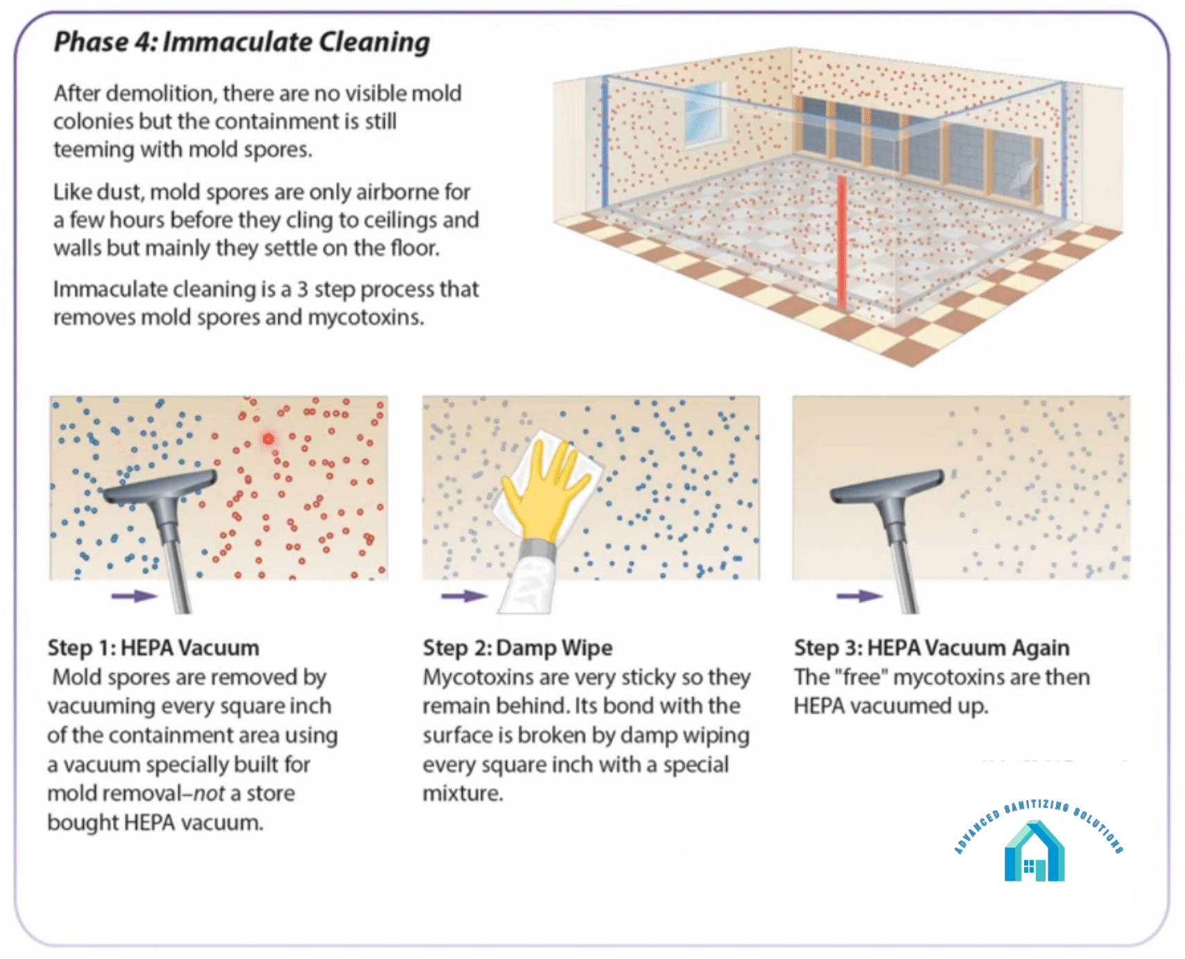Diagram showing mold remediation: HEPA vacuum, damp wipe, HEPA vacuum again.